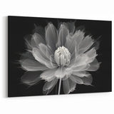 Abstract Black and White Dahlia Art | Botanical Flower Canvas Print