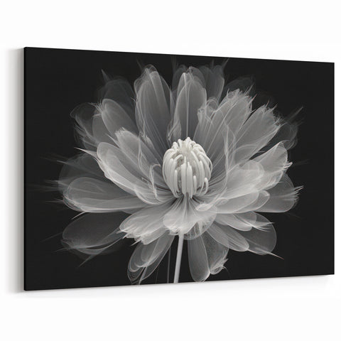Abstract Black and White Dahlia Art | Botanical Flower Canvas Print