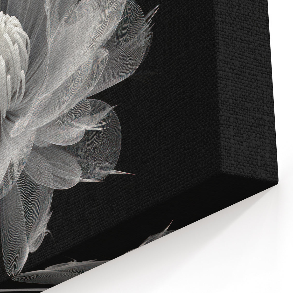 Abstract Black and White Dahlia Art | Botanical Flower Canvas Print