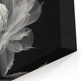 Abstract Black and White Dahlia Art | Botanical Flower Canvas Print