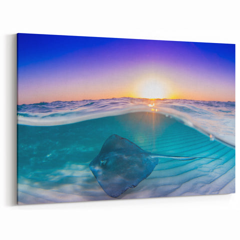 Cayman Island Wall Art – Vibrant Stingray Sunset Tropical Canvas Print
