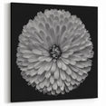 Monochrome Dahlia Flower Art | Bold Black and White Botanical Print