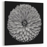 Monochrome Dahlia Flower Art | Bold Black and White Botanical Print