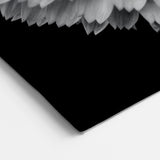 Monochrome Dahlia Flower Art | Bold Black and White Botanical Print