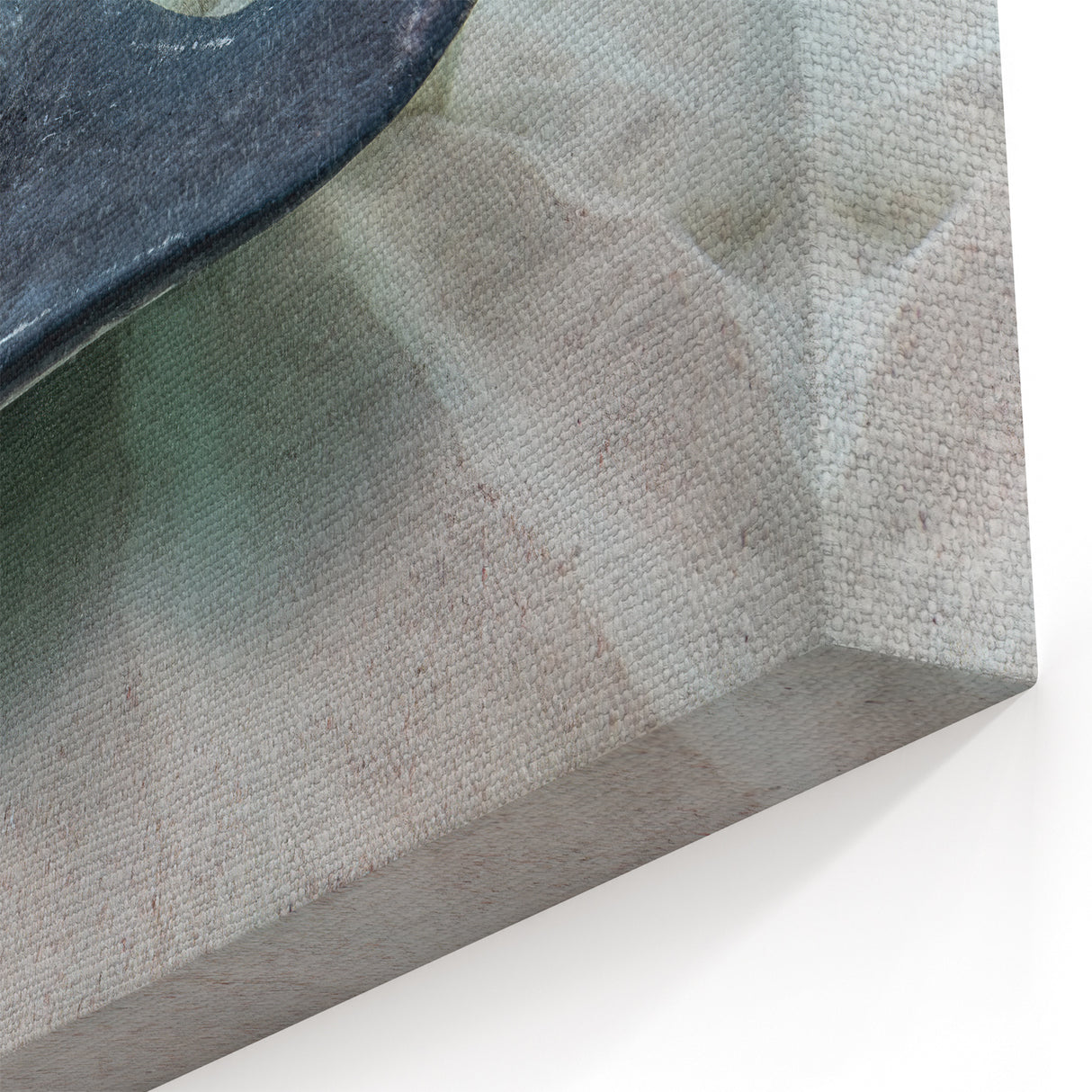 Cayman Island Photography – Stunning Stingray Underwater Tropical Art