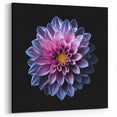 Vibrant Purple and Pink Dahlia Art | Botanical Flower Canvas Print