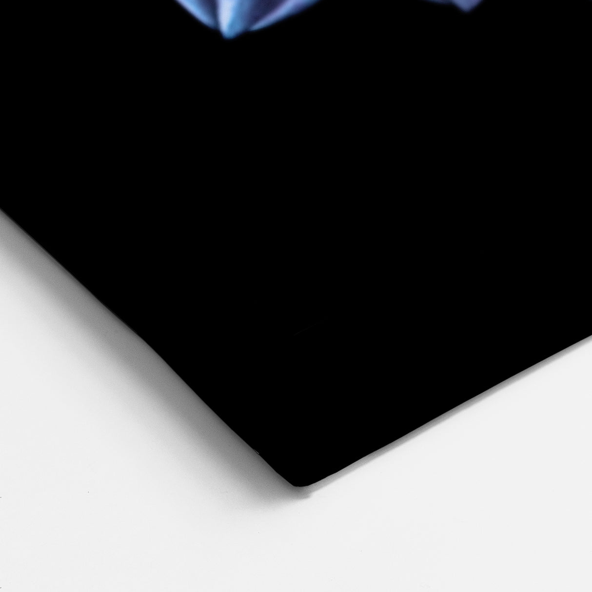 Vibrant Purple and Pink Dahlia Art | Botanical Flower Canvas Print