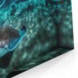 Cayman Island Scenery – Majestic Manta Rays Underwater Photography Print