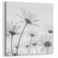 Botanical Daisy Wall Art – Modern Black and White Daisy Canvas Print