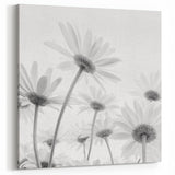 Botanical Daisy Wall Art – Modern Black and White Daisy Canvas Print