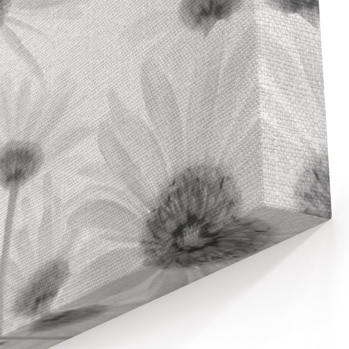 Botanical Daisy Wall Art – Modern Black and White Daisy Canvas Print