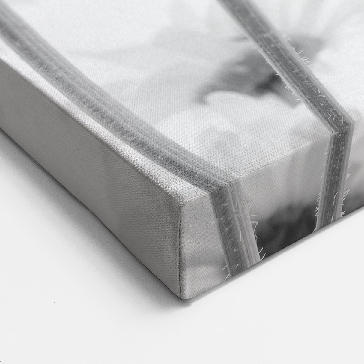 Botanical Daisy Wall Art – Modern Black and White Daisy Canvas Print