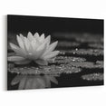 Black and White Water Lily Canvas - Elegant Floral Wall Art Print