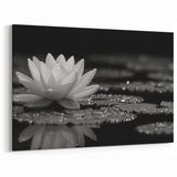 Black and White Water Lily Canvas - Elegant Floral Wall Art Print