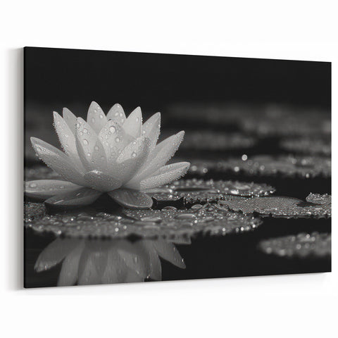 Black and White Water Lily Canvas - Elegant Floral Wall Art Print