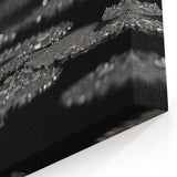 Black and White Water Lily Canvas - Elegant Floral Wall Art Print