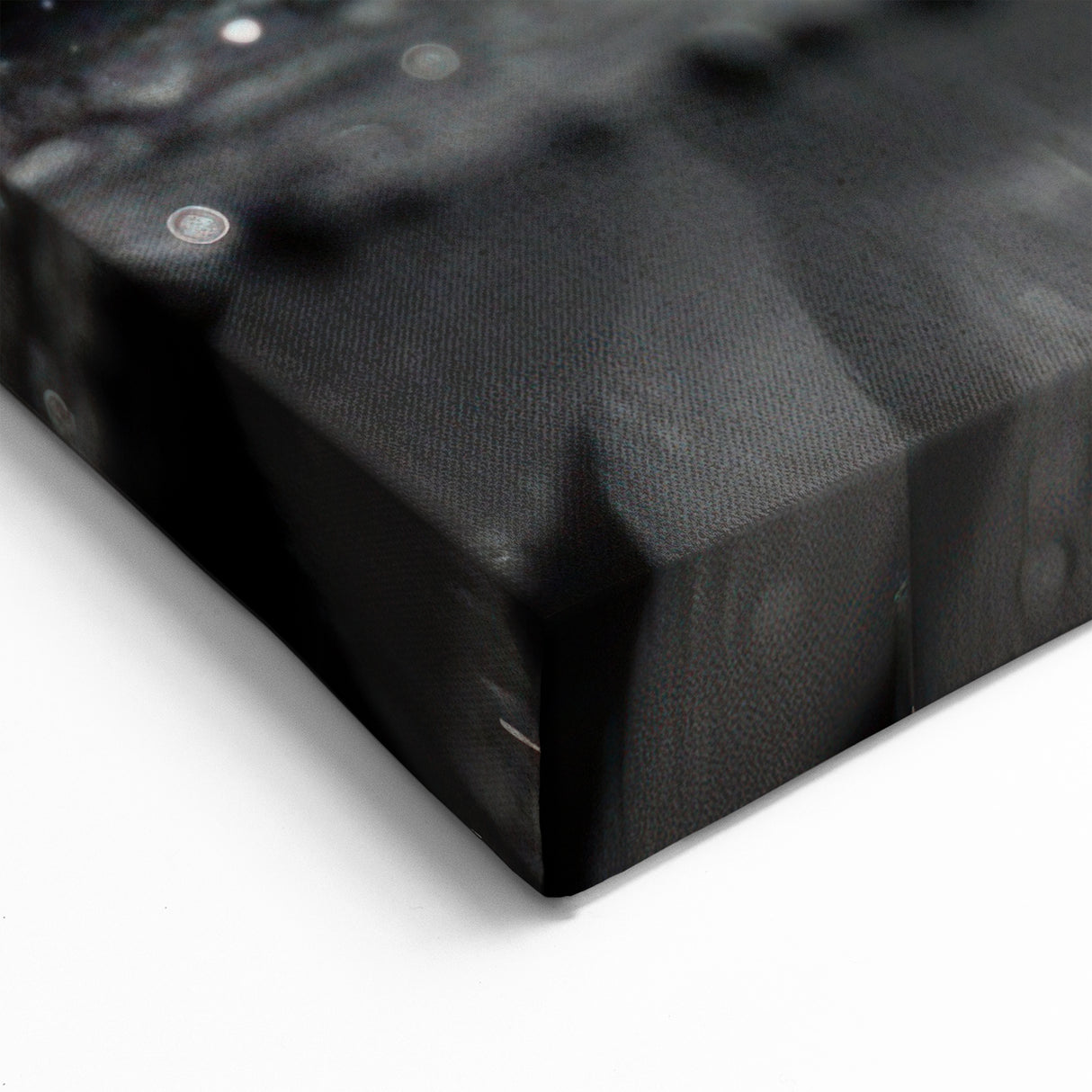 Black and White Water Lily Canvas - Elegant Floral Wall Art Print