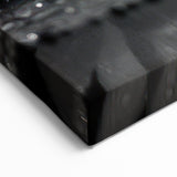 Black and White Water Lily Canvas - Elegant Floral Wall Art Print