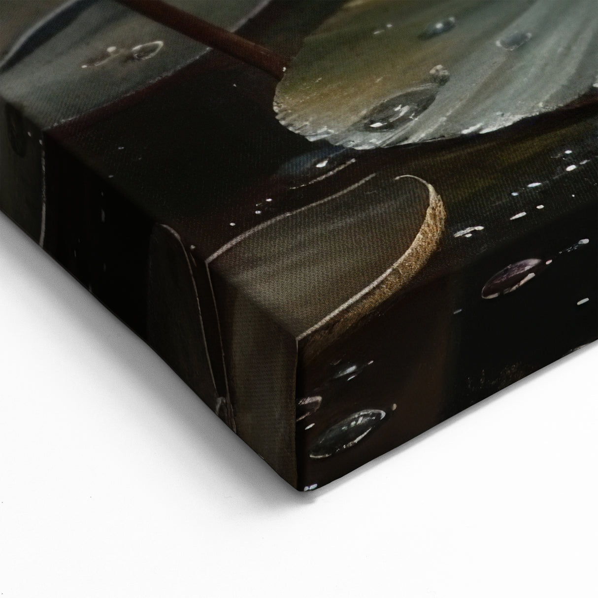 Serene Water Lily Wall Art - Botanical Floral Canvas Print for Home Decor