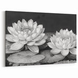 Black and White Water Lily Art - Botanical Floral Wall Art Print