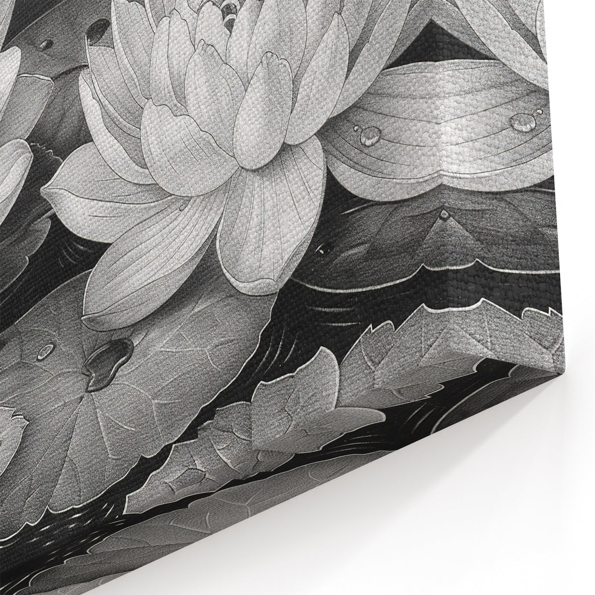 Black and White Water Lily Art - Botanical Floral Wall Art Print