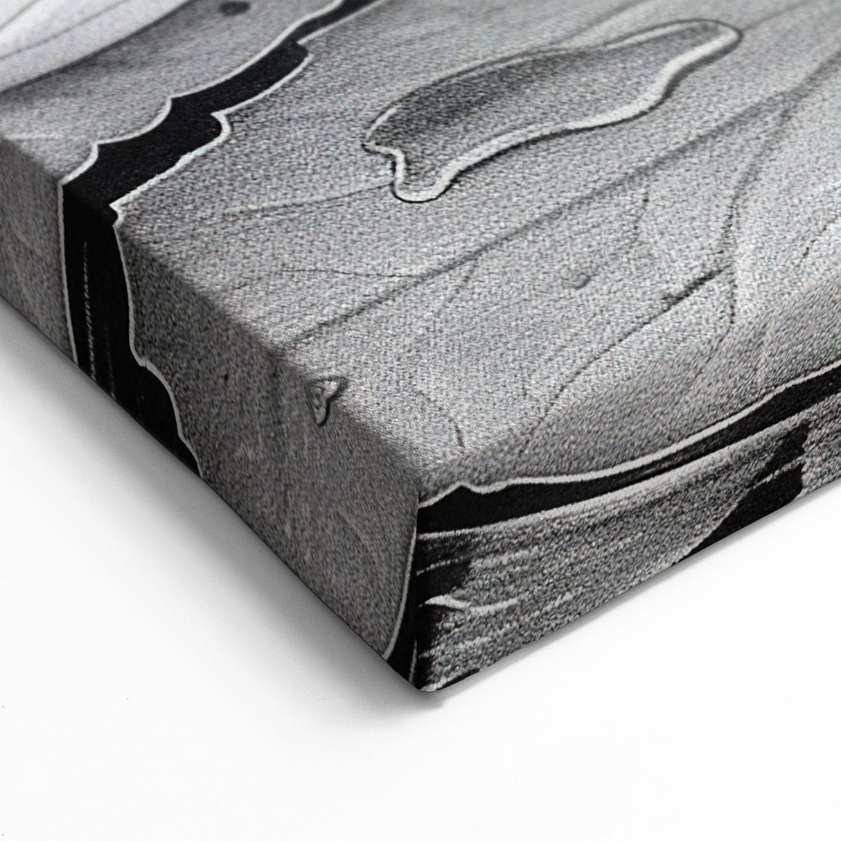 Black and White Water Lily Art - Botanical Floral Wall Art Print