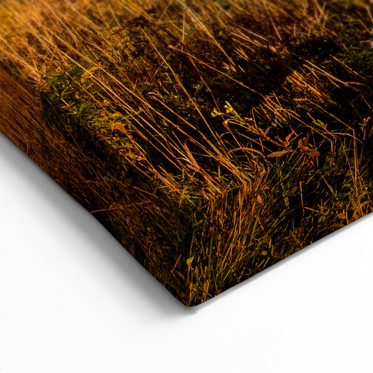 Lakeside Autumn Reflections Quebec – Rustic Landscape Wall Art Print