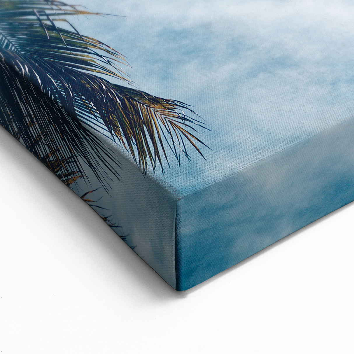 Caribbean Cuba Wall Art - Vintage Havana Palm Trees Tropical Cuban Art