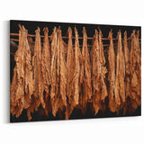 Cuban Landscape Paintings – Authentic Tobacco Drying Art Print