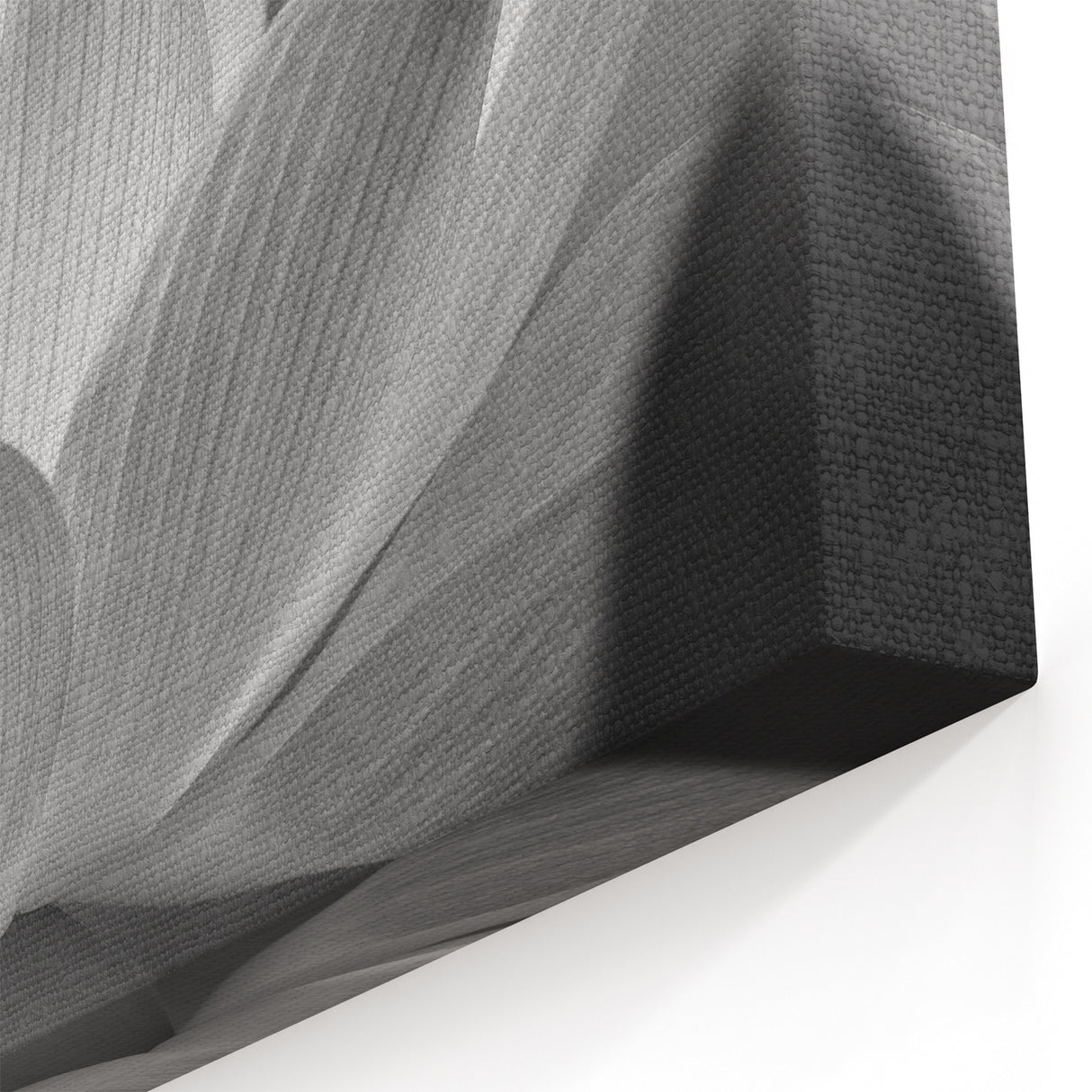 Elegant Black & White Floral Wall Art - Botanical Nature Close-Up Prints