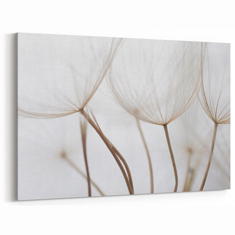 Delicate Dandelion Floral Wall Art - Nature Close-Up Botanical Prints