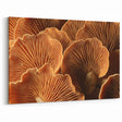 Rustic Mushroom Floral Wall Art | Nature Close-Up Botanical Canvas Art