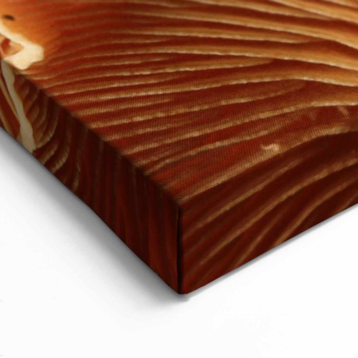 Rustic Mushroom Floral Wall Art | Nature Close-Up Botanical Canvas Art