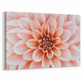 Peach Floral Wall Art: Nature Close-Up of Blooming Petals Canvas Art