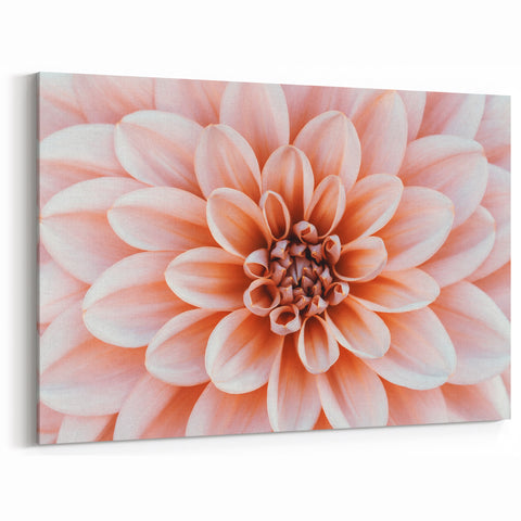 Peach Floral Wall Art: Nature Close-Up of Blooming Petals Canvas Art
