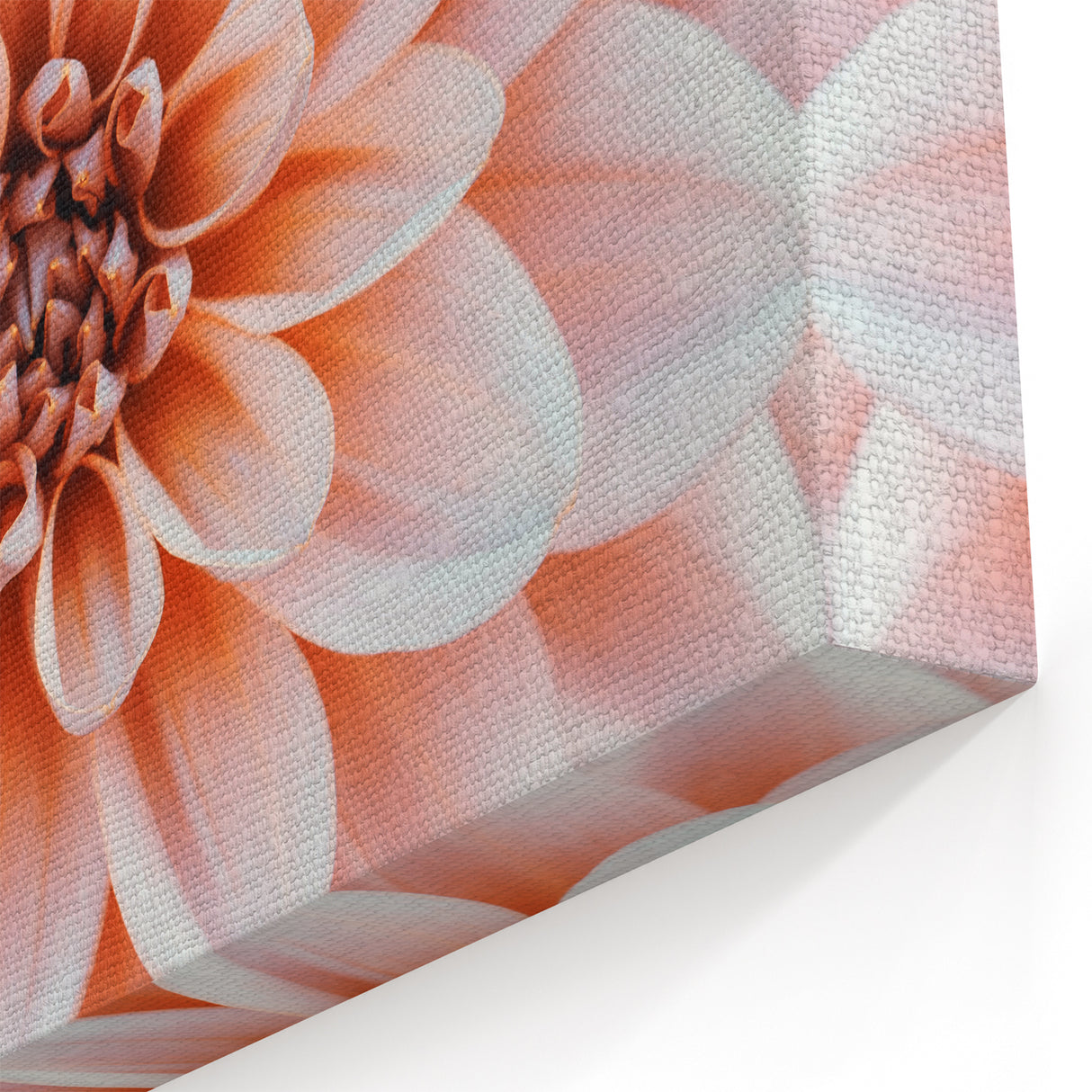 Peach Floral Wall Art: Nature Close-Up of Blooming Petals Canvas Art