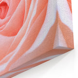 Romantic Rose Wall Art: Nature Close-Up of Blooming Flower Canvas Art