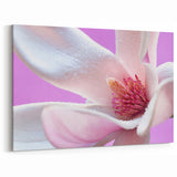 Vibrant Magnolia Wall Art: Nature Close-Up of Blooming Flower Canvas Art