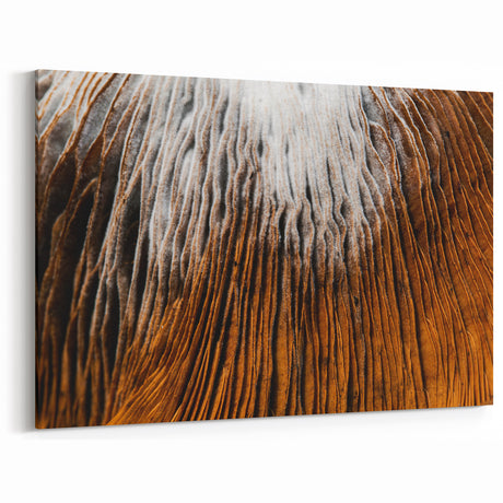 Earthy Textured Wall Art: Nature Close-Up of Organic Patterns Canvas Art