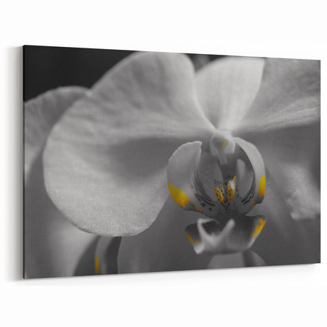Monochrome Orchid Wall Art: Black and White Floral Canvas with Yellow Accent