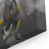 Monochrome Orchid Wall Art: Black and White Floral Canvas with Yellow Accent