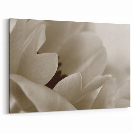 Sepia-Toned Floral Wall Art: Vintage Close-Up of Blooming Petals Canvas