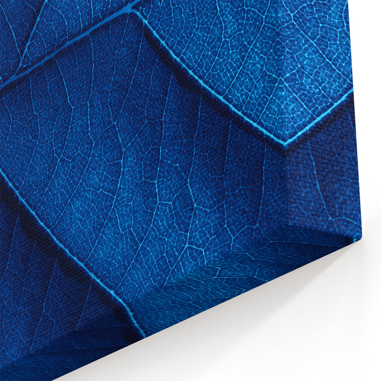 Blue Leaf Wall Art: Nature Close-Up of Intricate Veins on Canvas