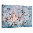 Blossoming Spring Floral Wall Art: Nature Close-Up of Cherry Blossoms Canvas
