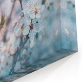 Blossoming Spring Floral Wall Art: Nature Close-Up of Cherry Blossoms Canvas
