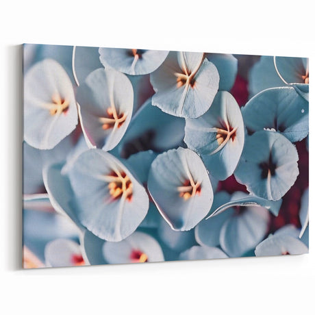 Soft Blue Floral Wall Art: Nature Close-Up of Delicate Blooming Flowers