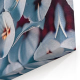 Soft Blue Floral Wall Art: Nature Close-Up of Delicate Blooming Flowers