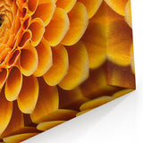Golden Floral Wall Art: Vibrant Nature-Inspired Botanical Close-Up Print