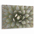 Succulent Close-Up Wall Art: Nature-Inspired Botanical Canvas Print