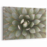 Succulent Close-Up Wall Art: Nature-Inspired Botanical Canvas Print